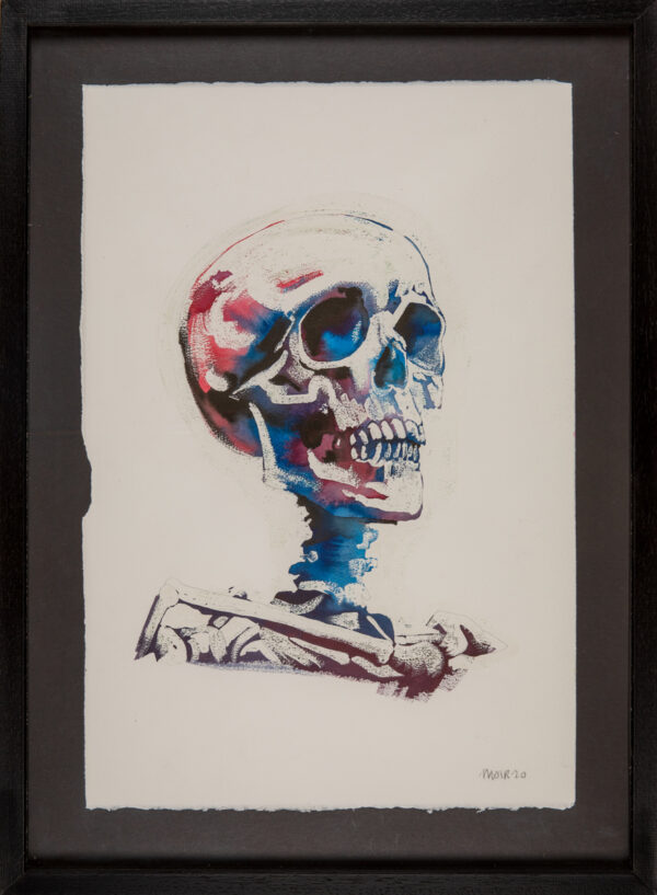 Skeleton Skull