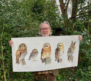 The Five British Owls