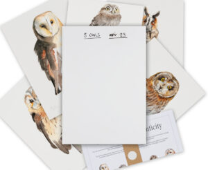 Five British Owls - Collectors Edition