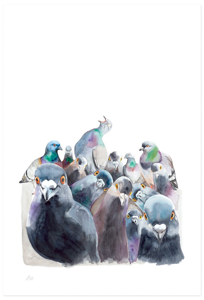 Pigeon Mob