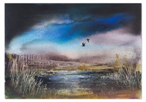 Two Curlews drifting over the Dusky Marsh in dismal condition