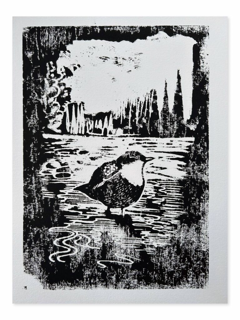 Dipper Woodcut - As featured in Painting Birds
