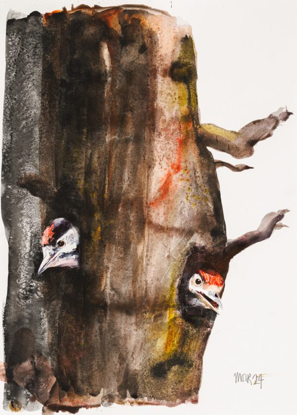 Hungry woodpeckers