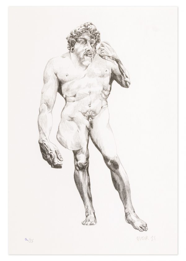 David - No.1 Collection