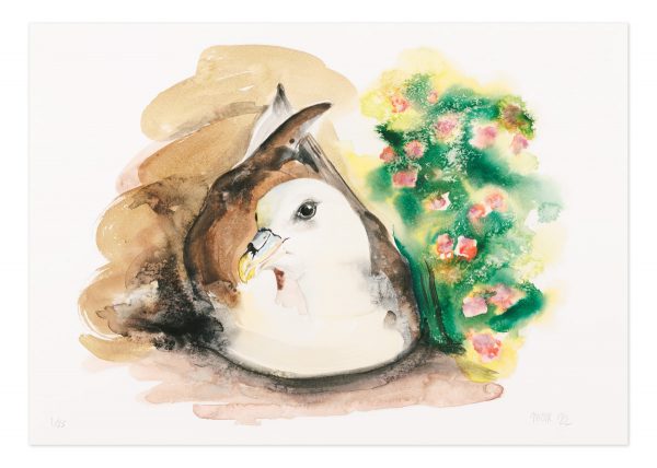 Fulmar - No.1 Collection