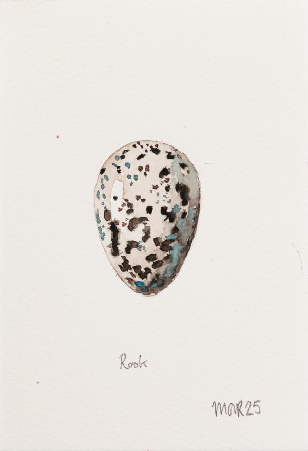 Rook Egg