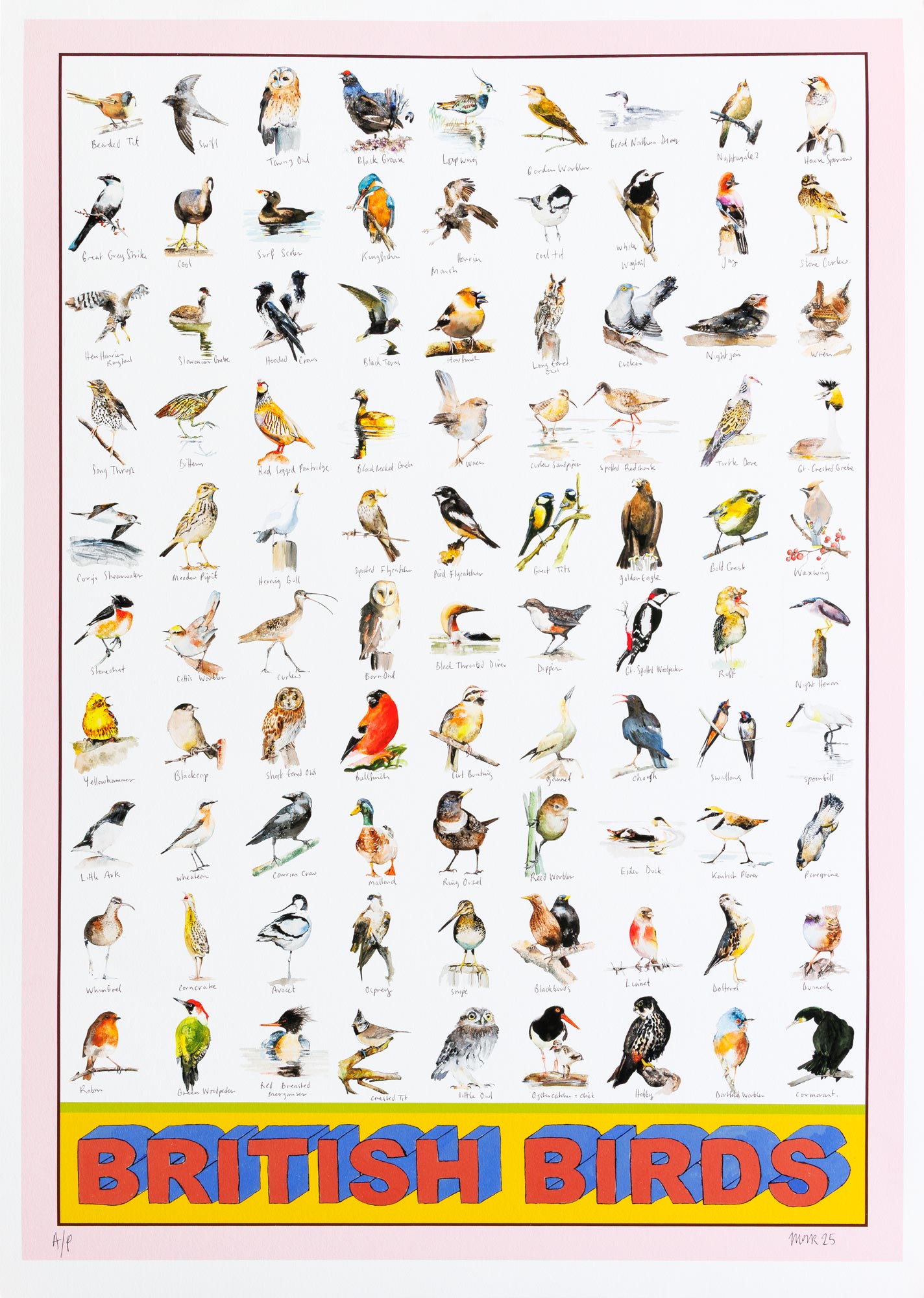 British Birds - Hand-finished print