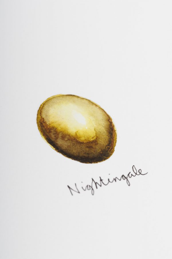 Nightingale Egg - Image 2