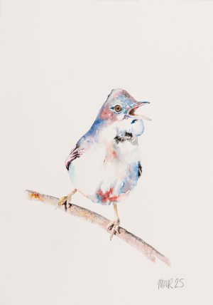 Whitethroat