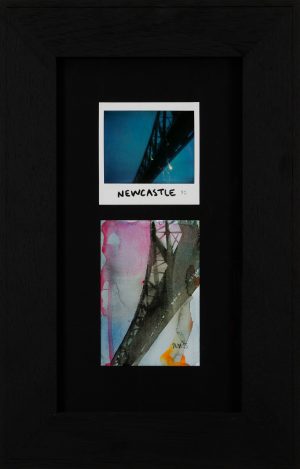 Newcastle Bridges 1