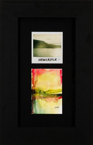 Newcastle Bridges 7