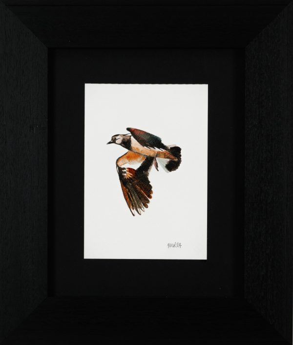 Lapwing 3