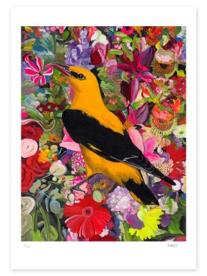 Oriole in the Flora (A1)