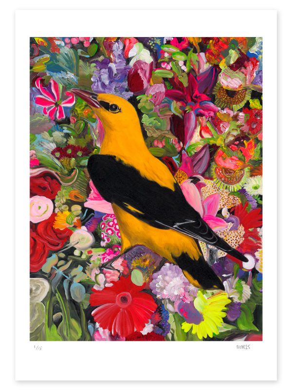 Oriole in the Flora (A1)