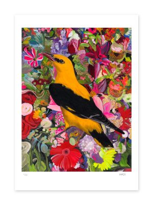 Oriole in the Flora (A2)