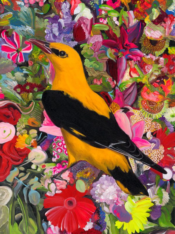 Oriole in the Flora (A1) - Image 2