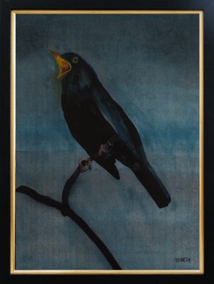Blackbird singing in the dead of night 1