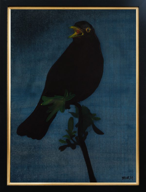 Blackbird singing in the dead of night 2