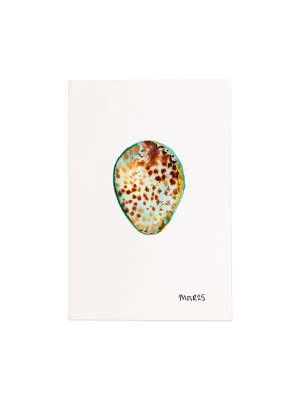 Blackbird Egg