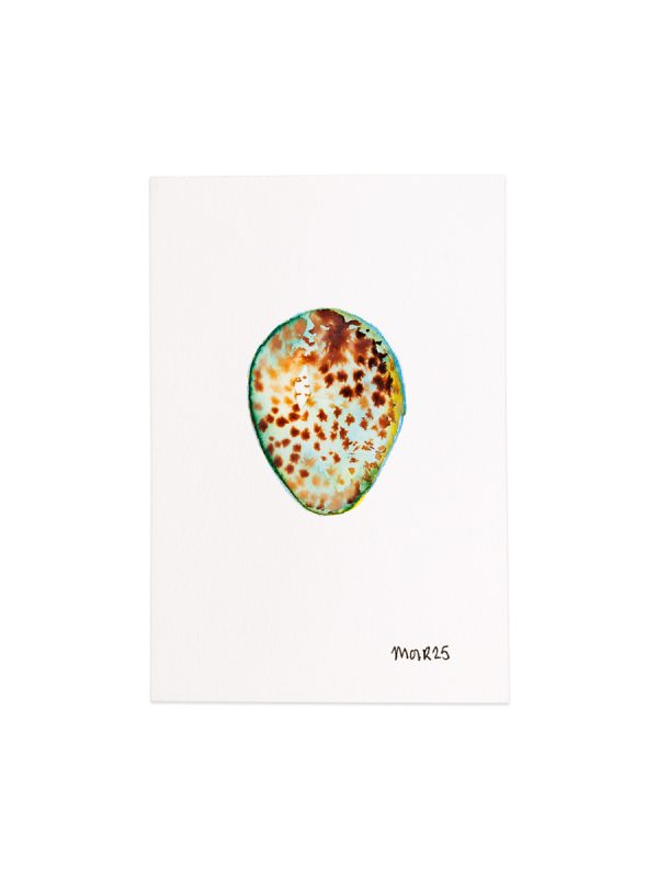Blackbird Egg