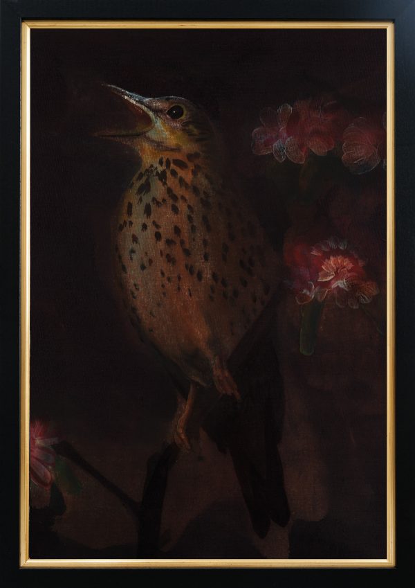 Twilight Song Thrush