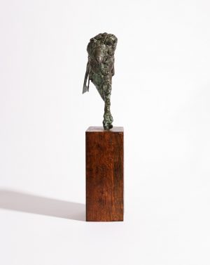 The Sentinel