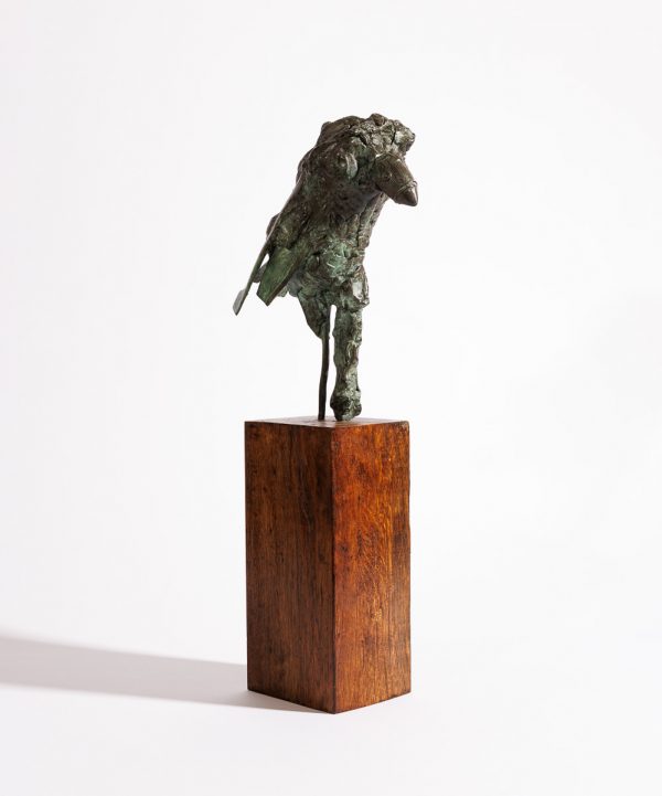 The Sentinel - Image 3