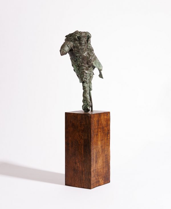 The Sentinel - Image 2