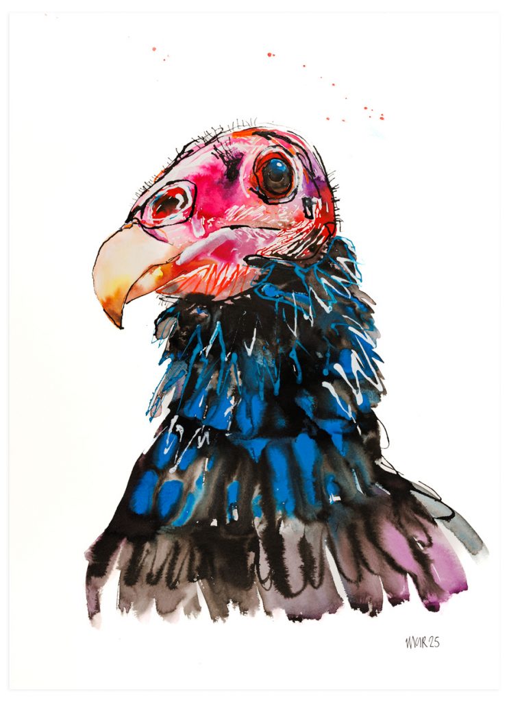 Turkey Vulture (XL)