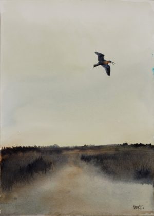 Curlew over the Estuary 1