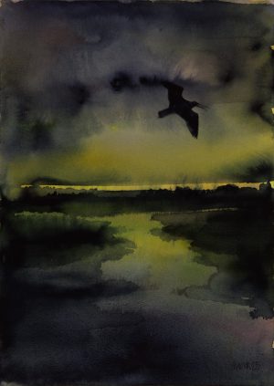 Curlew over the Estuary 7