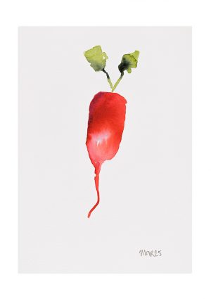 Christmas Radish 10