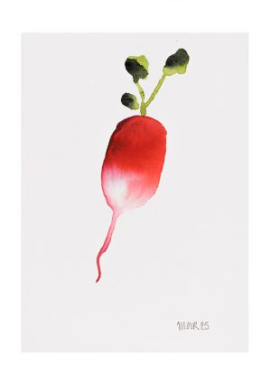 Christmas Radish 11