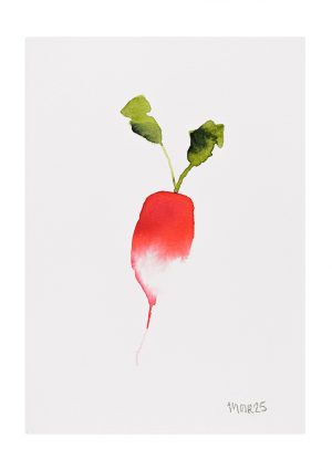 Christmas Radish 1