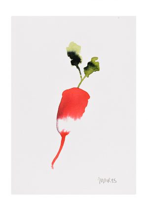 Christmas Radish 3