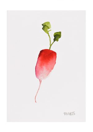 Christmas Radish 5