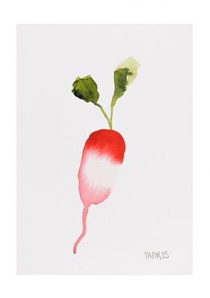 Christmas Radish 6