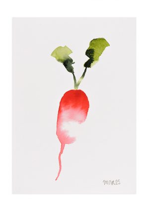 Christmas Radish 7