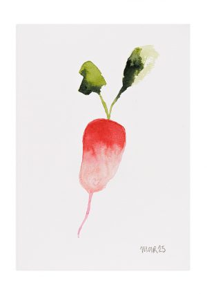 Christmas Radish 9