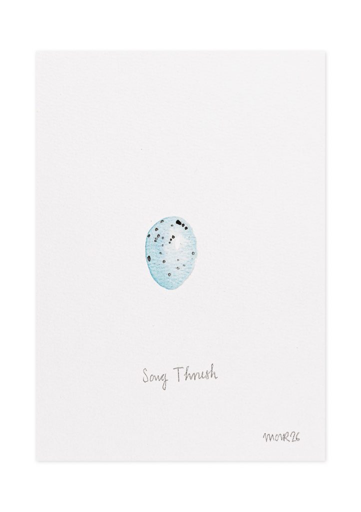 Song Thrush Egg