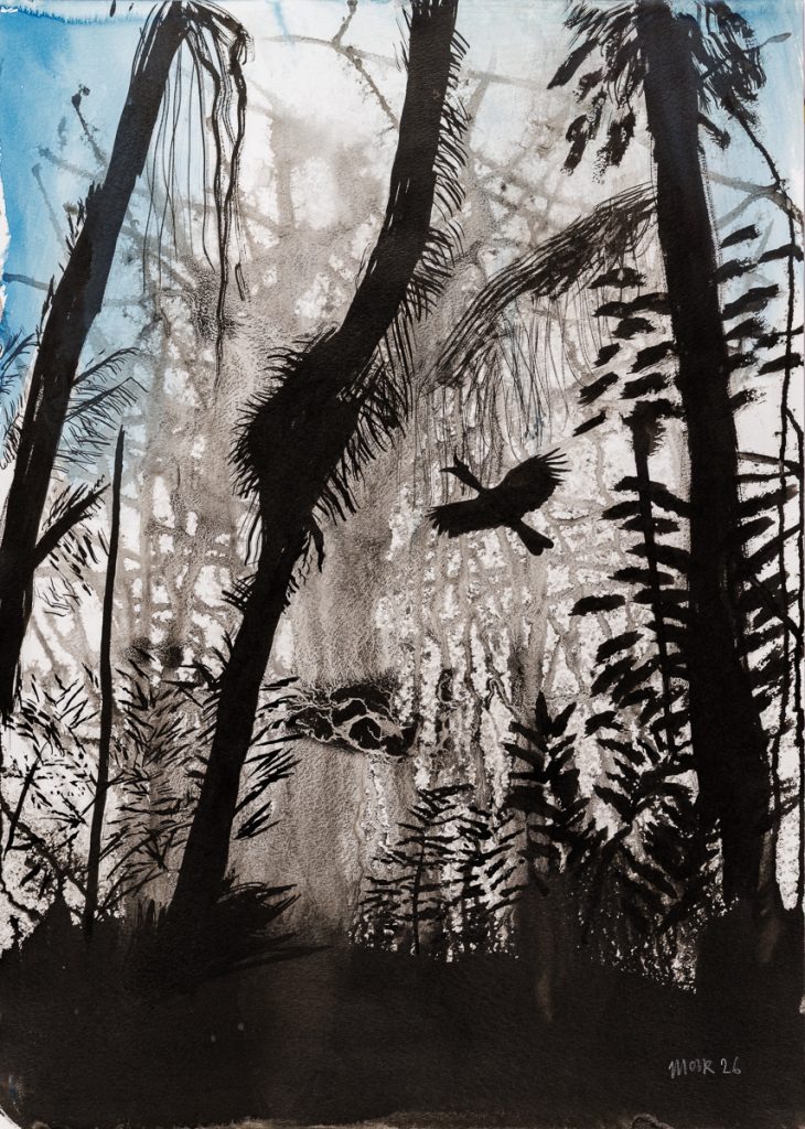 Hornbill in the Forest