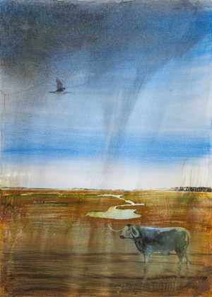 Longhorn and Curlew on the Marsh