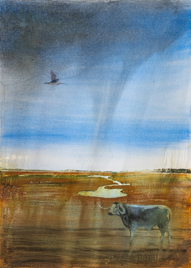 Longhorn and Curlew on the Marsh