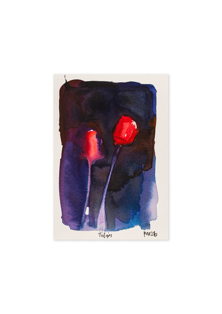 Tulips (II)