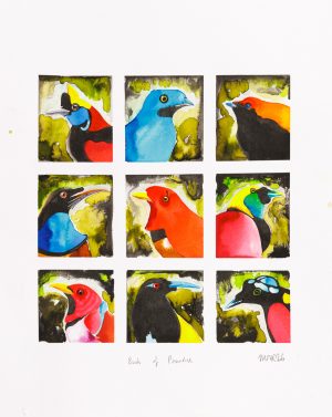 Birds of Paradise